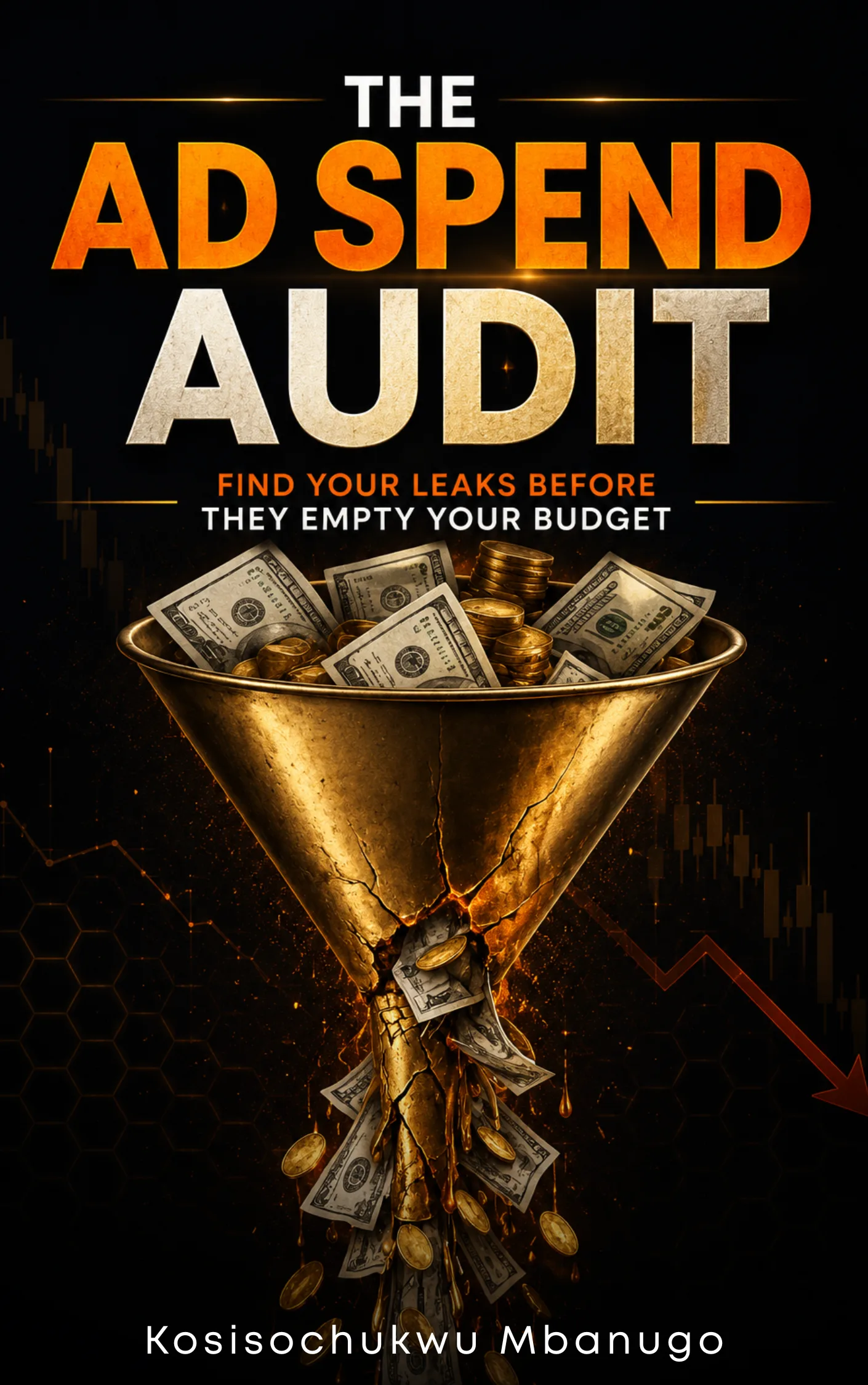The Ad Spend Audit Book Cover